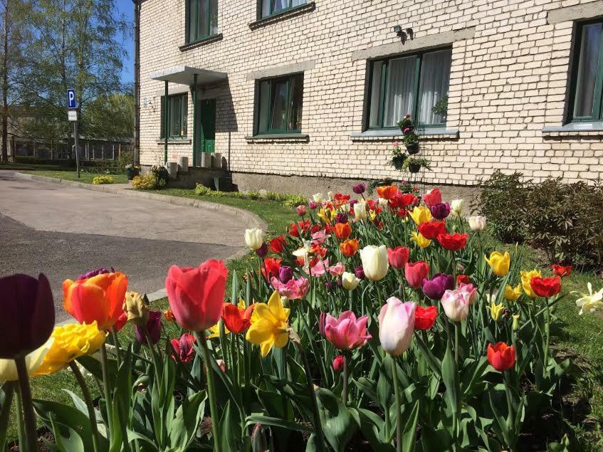 Stradnieku Viesnica Vandrarhem Ventspils Exteriör bild